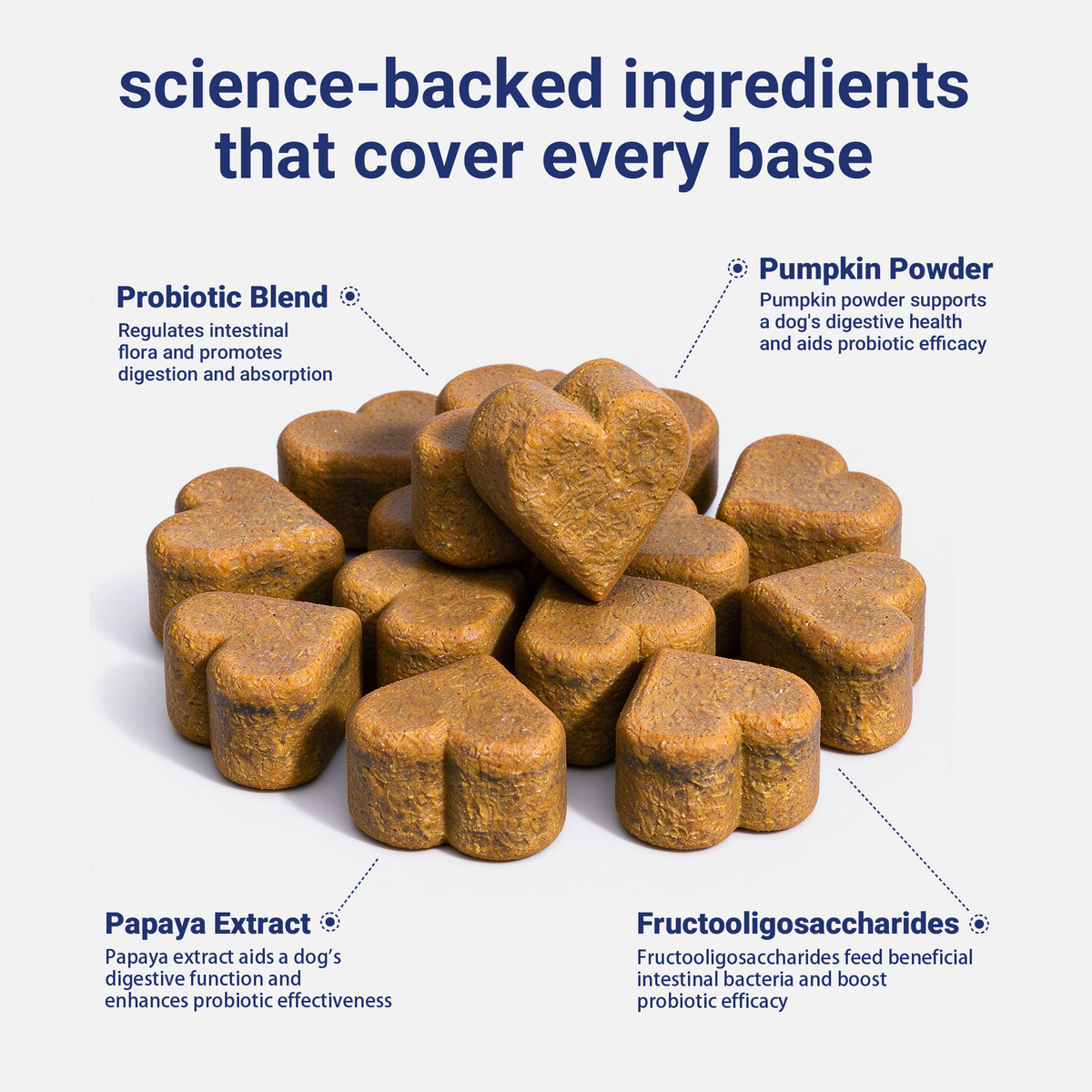 OURCARES Probiotic Bites soft chews support dog digestive health and immune system, daily probiotic supplement for all breeds