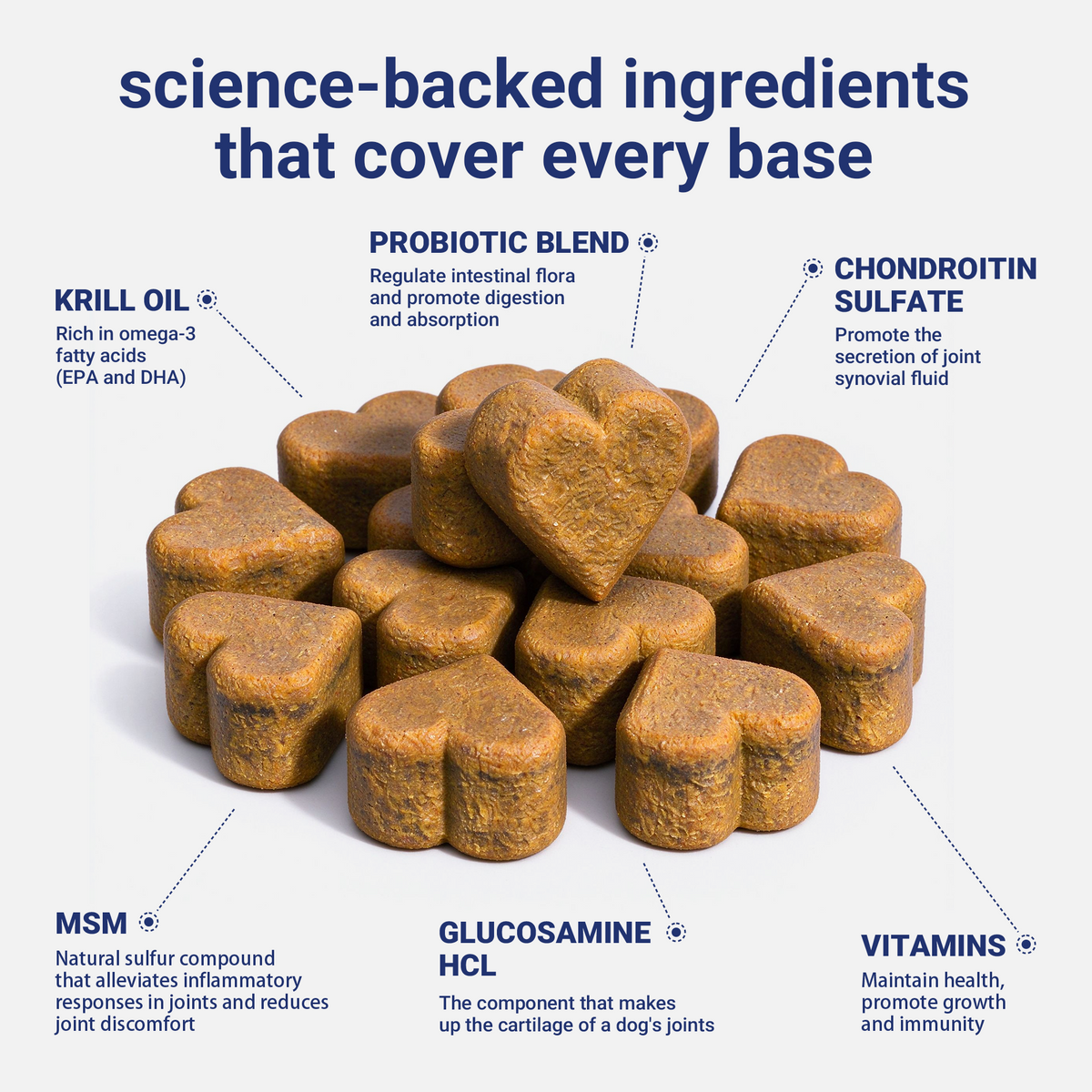 OURCARES 10-in-1 Multivitamin Soft Chews provide daily comprehensive support for dog skin, coat and joint health, ideal for all breeds