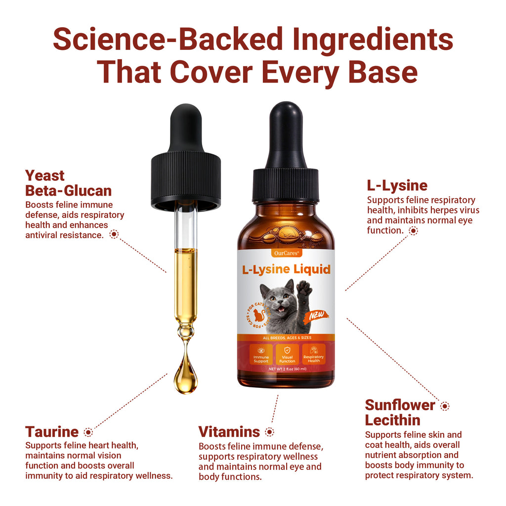 OURCARES L-Lysine Liquid for Cats, Immune System Support & Respiratory Health Booster