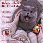 OURCARES L-Lysine Liquid for Cats, Immune System Support & Respiratory Health Booster