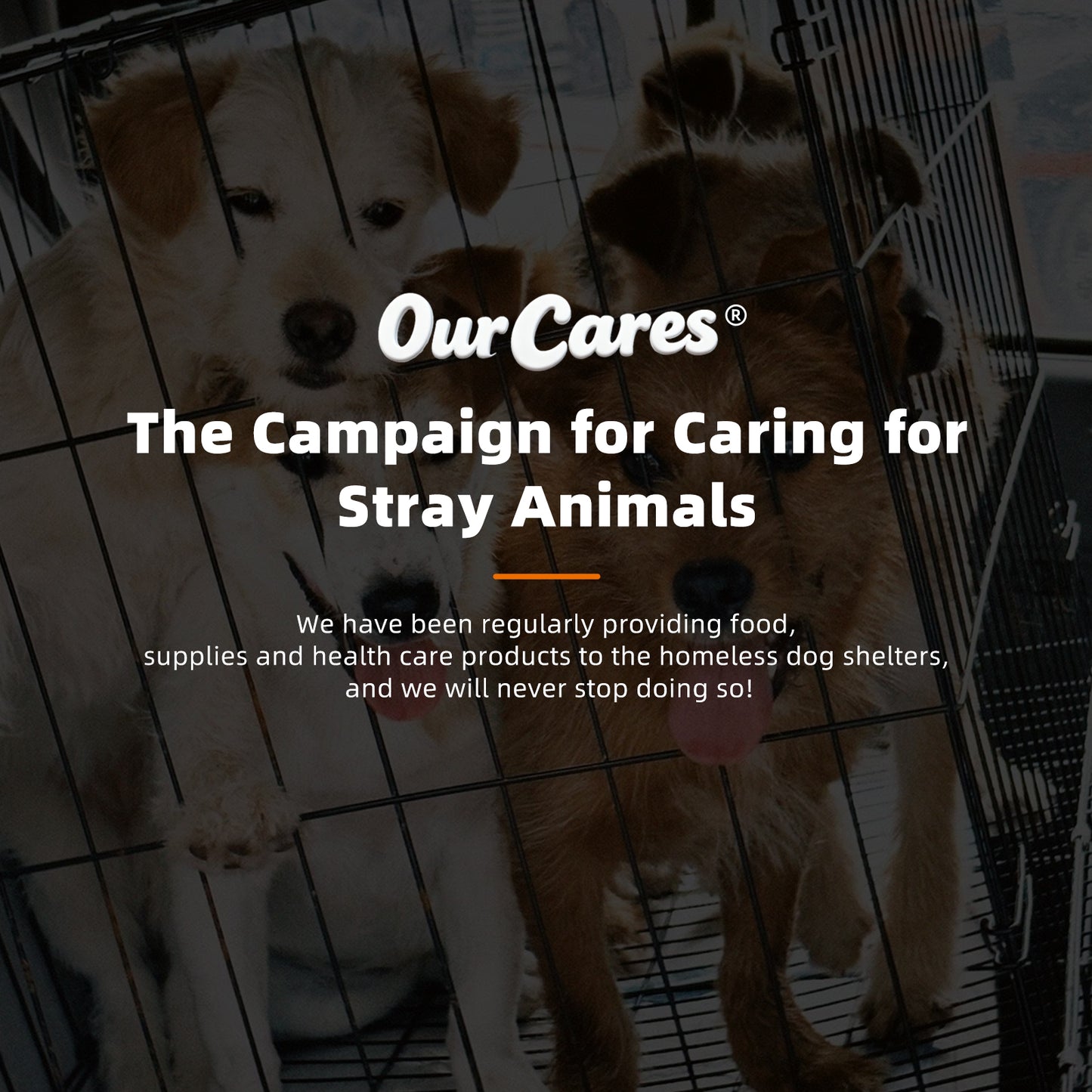 Skin and Coat Supplement - Omega-3 Support for Itchy Skin & Shedding