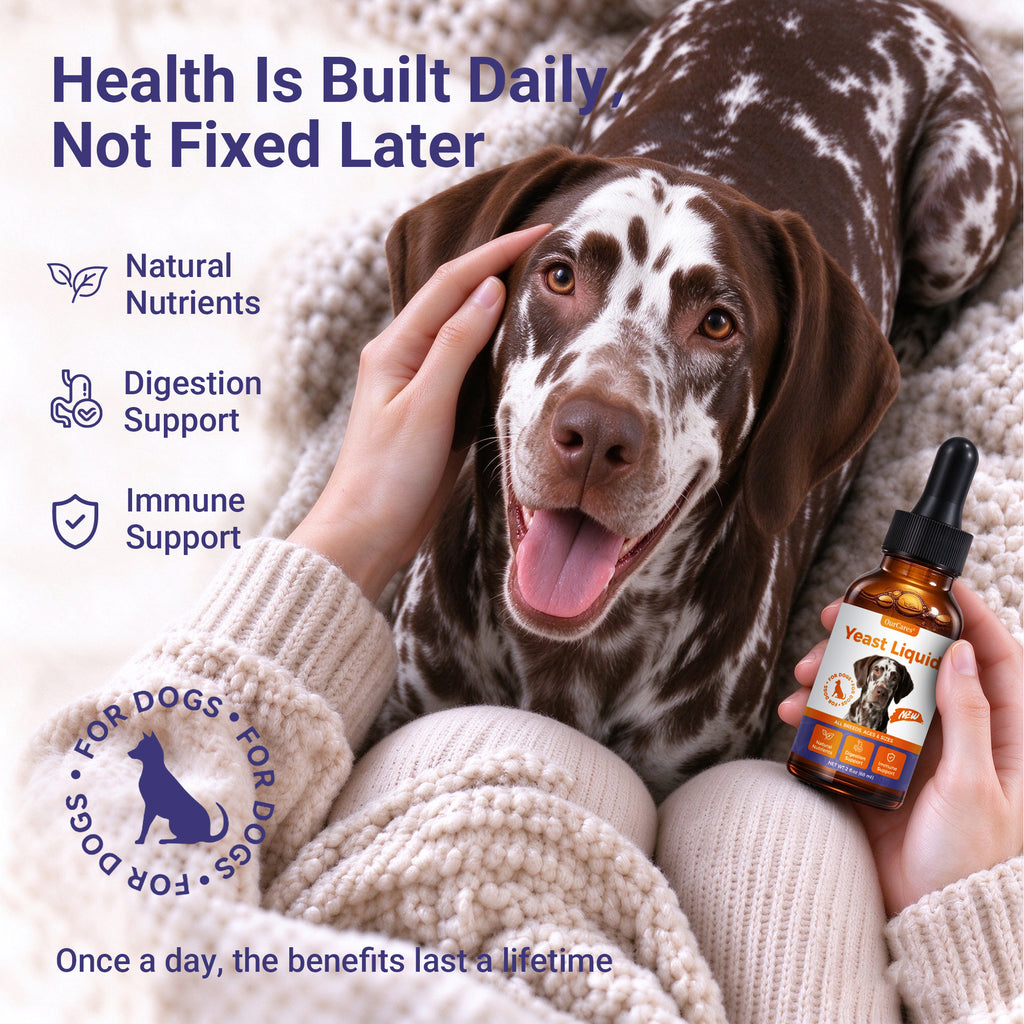 OURCARES Dog Yeast & Itch Relief, Skin Flora Balance & Healthy Skin Support