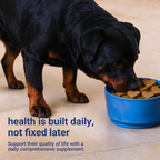 OURCARES Dog Allergy Relief Chews support seasonal allergy discomfort, soothe itchy skin and provide natural itch relief for all breeds of dogs