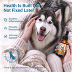 OURCARES Natural Antibiotic for Dogs, Immune Support & Infection Defense Supplement