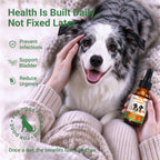 OURCARES Urinary Tract Support for Dogs, Kidney & Bladder Health Supplement