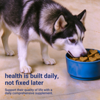OURCARES 10-in-1 Multivitamin Soft Chews provide daily comprehensive support for dog skin, coat and joint health, ideal for all breeds