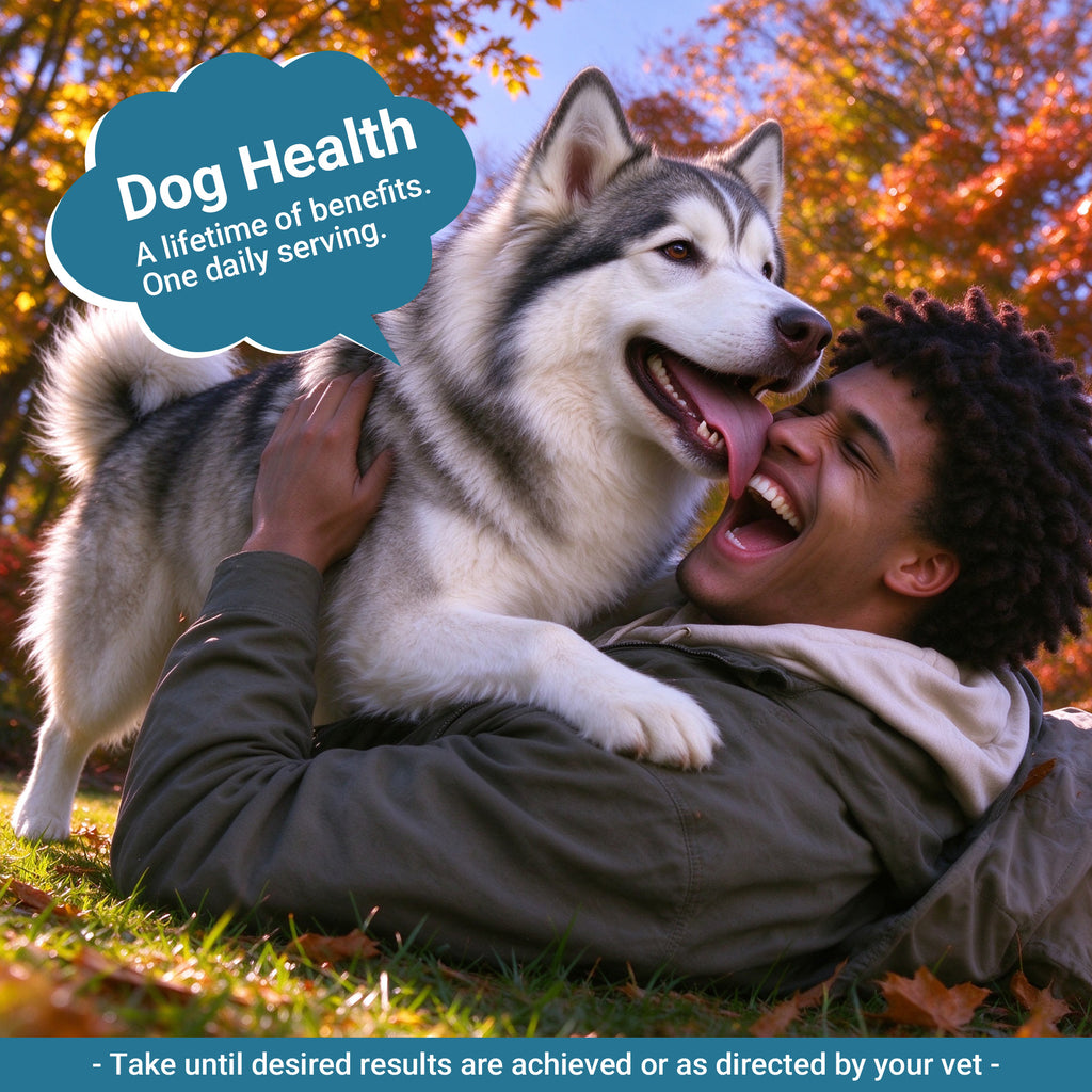 OURCARES Natural Antibiotic for Dogs, Immune Support & Infection Defense Supplement