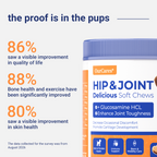 OURCARES Hip and Joint Supplement for Dogs, Glucosamine & Chondroitin Mobility Chews