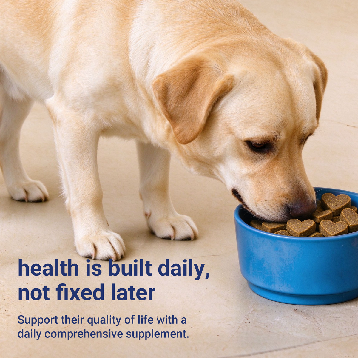 OURCARES Hip and Joint Supplement for Dogs, Glucosamine & Chondroitin Mobility Chews