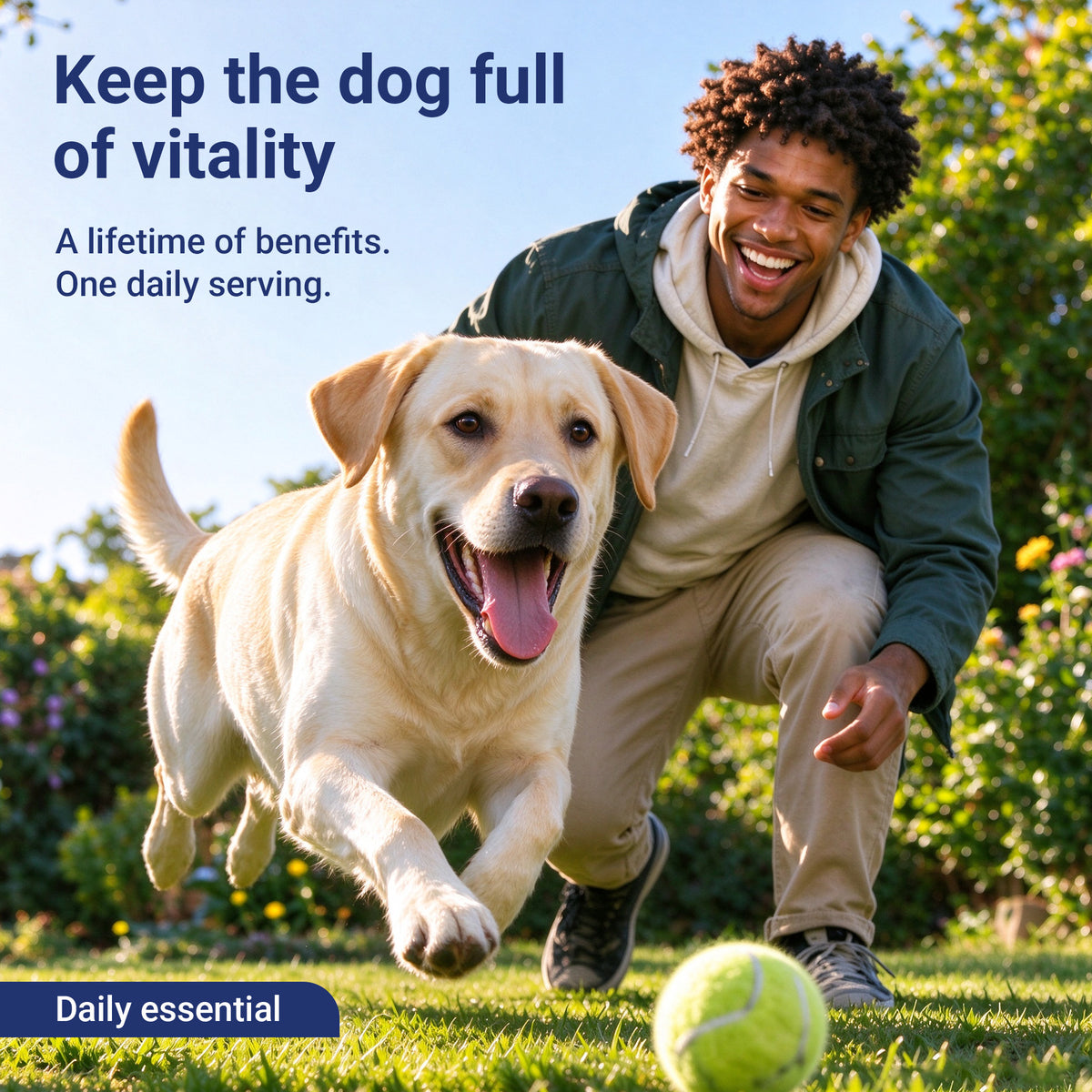 OURCARES 10-in-1 Multivitamin Soft Chews provide daily comprehensive support for dog skin, coat and joint health, ideal for all breeds